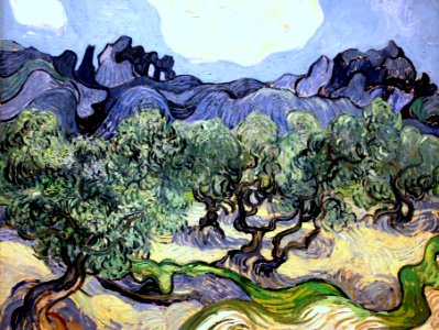 Vincent van Gogh - painting of olive trees (1889)