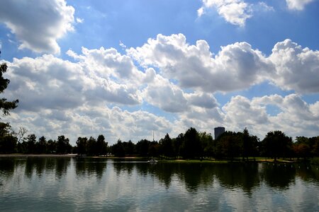 Trees lake river photo