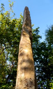 Vindbräcka menhir southeast side - worm's-eye view