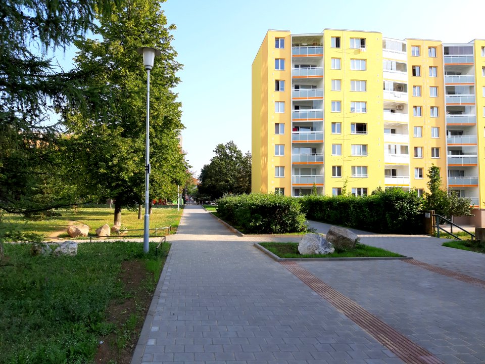 Vinohrady 20190831 082626(0) xxx34