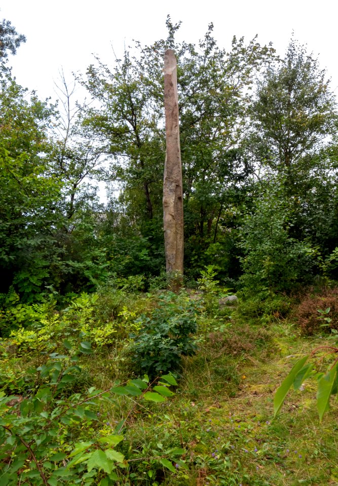 Vindbräckastenen east side in the clearing