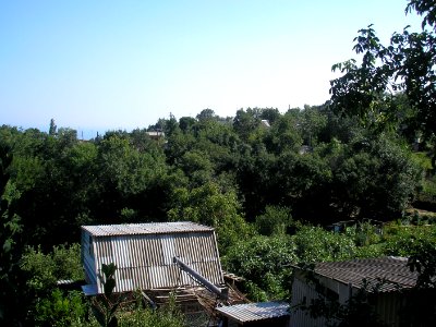 Vinogradnoe Al 5