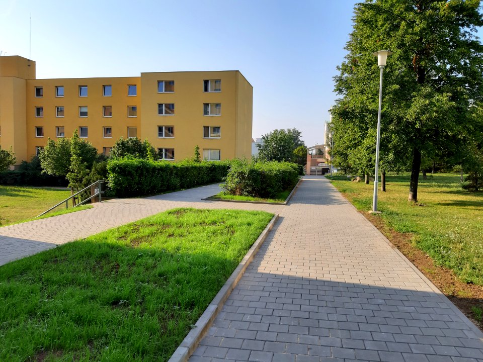 Vinohrady 20190831 082528 xxx37