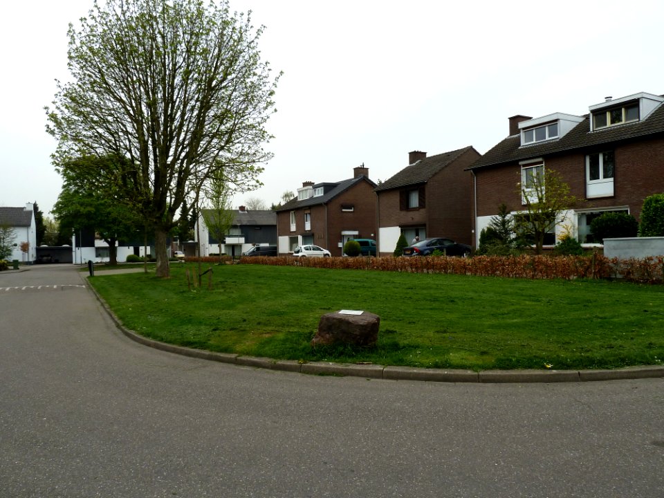 Vilt-Gedenksteen Zwaluwstraat (3)