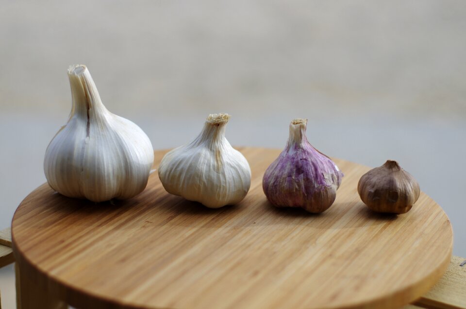 Garlic elephant garlic white gray elephant