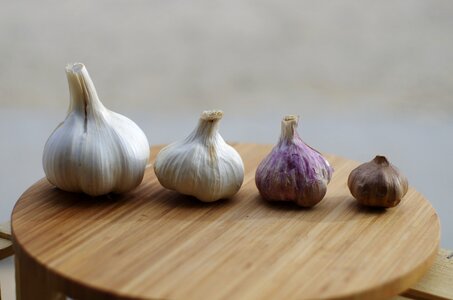 Garlic elephant garlic white gray elephant