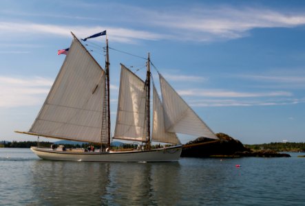 Vinalhaven Schooner (173575943)