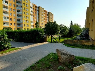 Vinohrady 20190831 082605 xxx36
