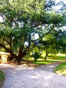 Vigo - Parque do Castro 05
