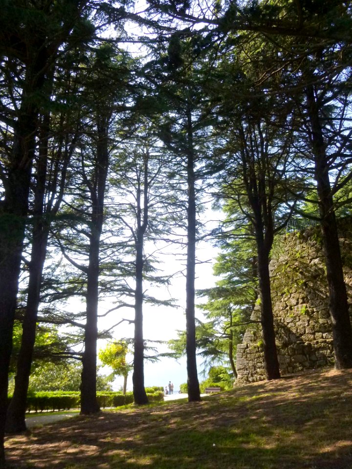 Vigo - Parque do Castro 13