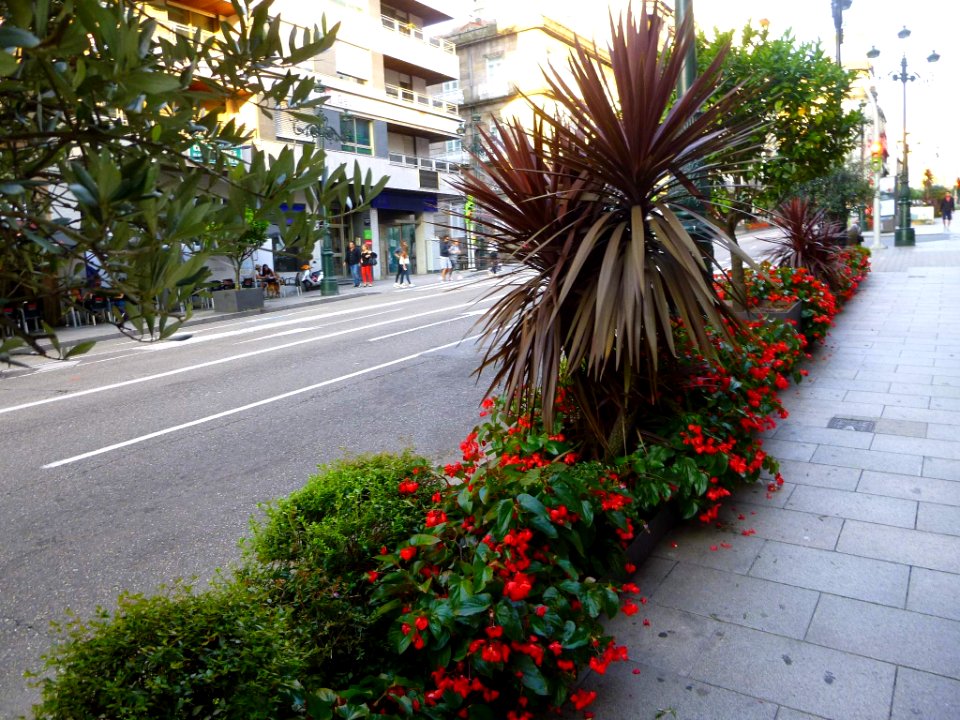 Vigo - Rúa Urzáiz 3