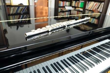 Piano music flute