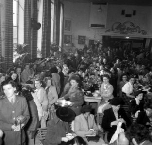 Vijf jarig bestaan VHK Den Haag, Bestanddeelnr 903-3412