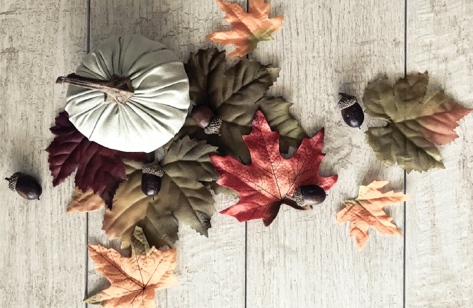 Autumn autumn leaves fall colors