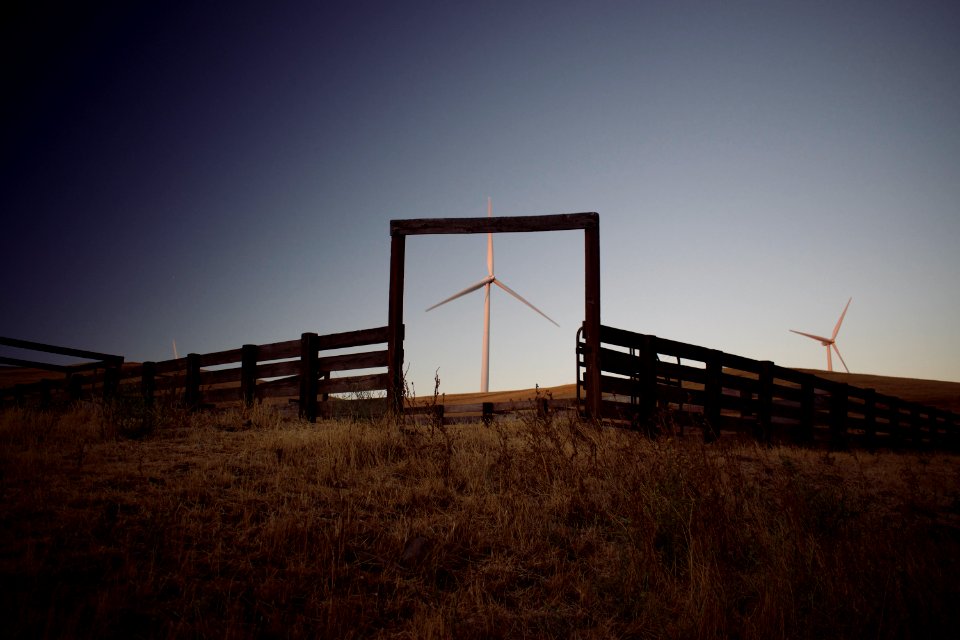 Views of windmills and pasture land at sunset at Altamont Pass Wind Farm 03