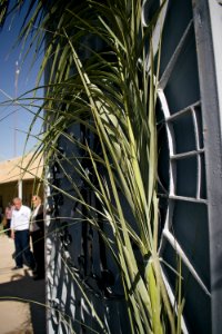 Views of the Palm Sunday celebration in 2018 in alQosh 11