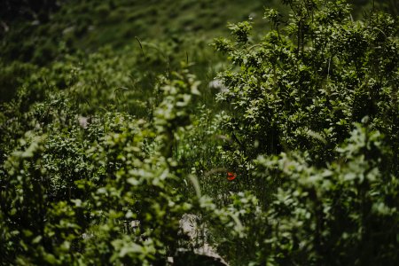 Views in May of 2019 on the drive up Shingal mountain 07