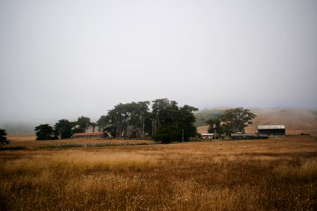 Views nearby Goat Rock Beach in Sonoma County 03