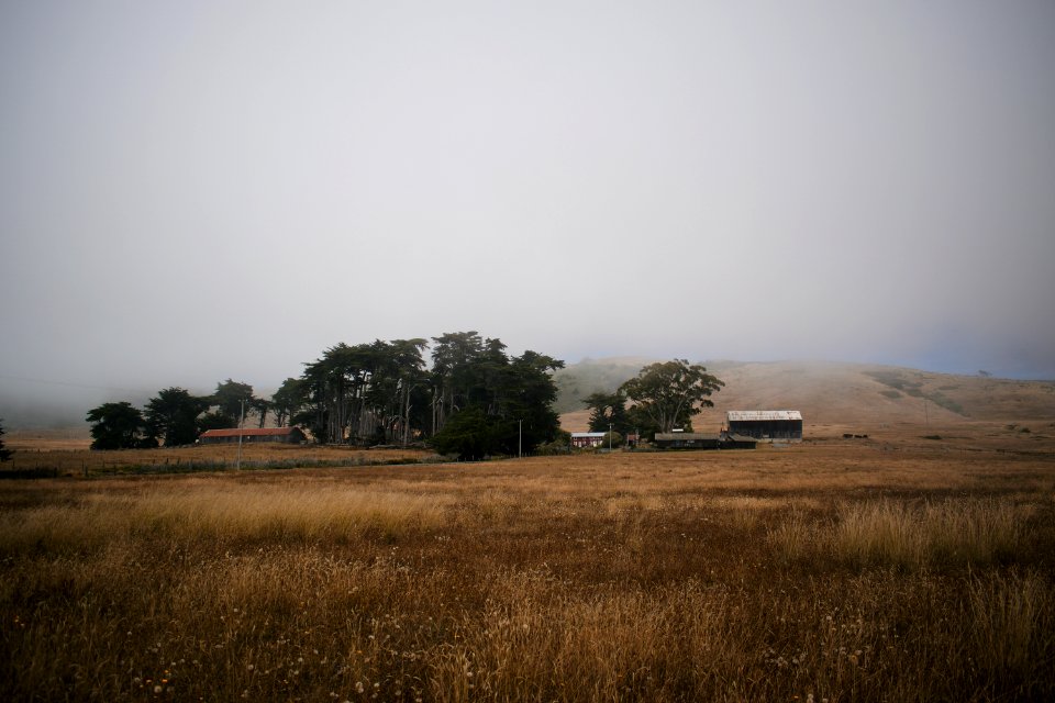 Views nearby Goat Rock Beach in Sonoma County 01