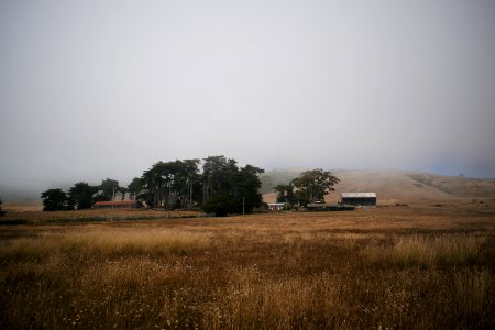 Views nearby Goat Rock Beach in Sonoma County 01