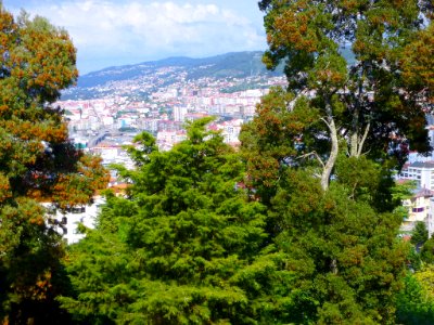 Vigo - Panorámica 05