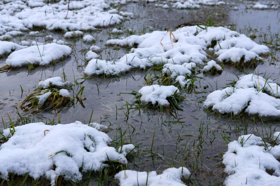 Meadow cold defrost
