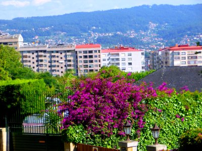 Vigo - Panorámica 12