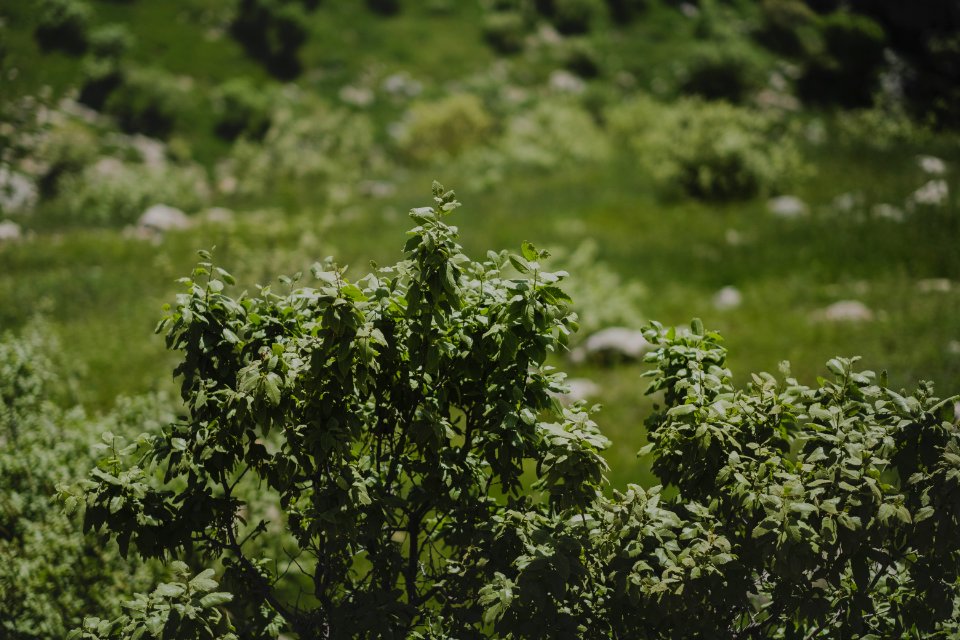 Views in May of 2019 on the drive up Shingal mountain 03