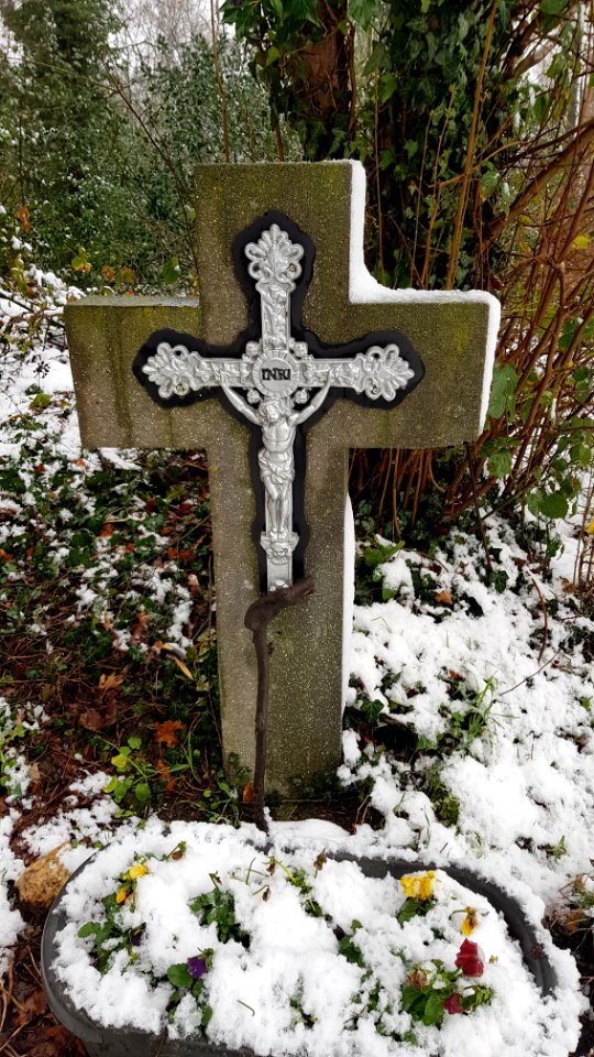 Vijlen-sneeuwlandschap Vijlenerbos (83)