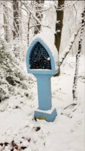 Vijlen-sneeuwlandschap Vijlenerbos (59)