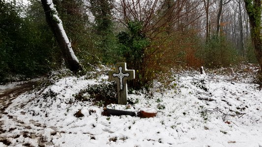 Vijlen-sneeuwlandschap Vijlenerbos (81)