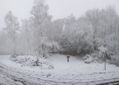Vijlen-sneeuwlandschap Vijlenerbos (71)