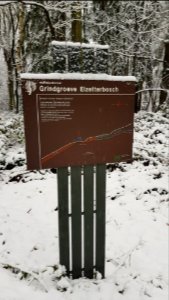 Vijlen-sneeuwlandschap Vijlenerbos (8)