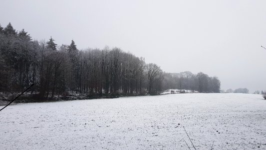 Vijlen-sneeuwlandschap Vijlenerbos (80)