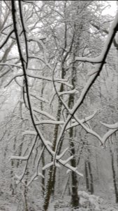 Vijlen-sneeuwlandschap Vijlenerbos (45)