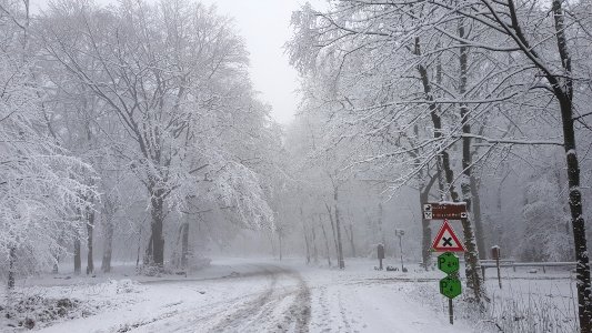Vijlen-sneeuwlandschap Vijlenerbos (57)