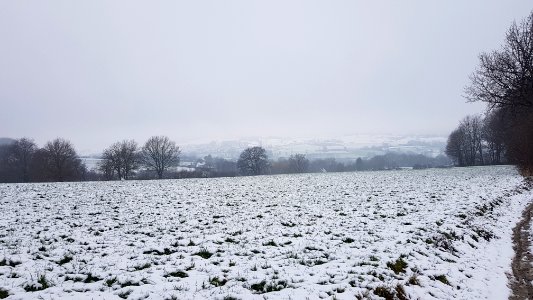 Vijlen-sneeuwlandschap Vijlenerbos (2)