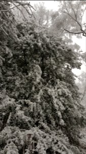 Vijlen-sneeuwlandschap Vijlenerbos (20)