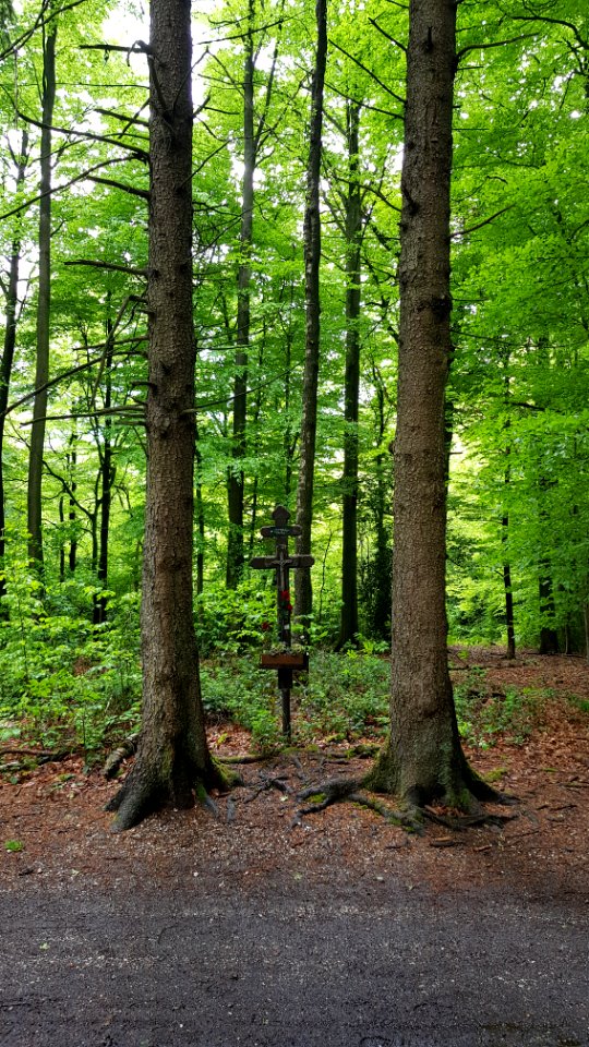 Vijlenerbos-wegkruis Russische Krijgsgevangenen (4)