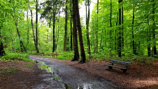 Vijlenerbos-wegkruis Russische Krijgsgevangenen (6)