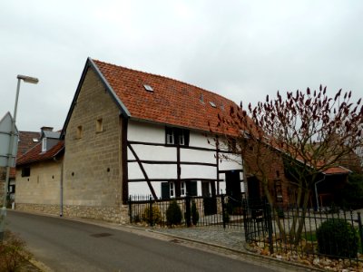 Vijlen-Hopschet 22 (2)