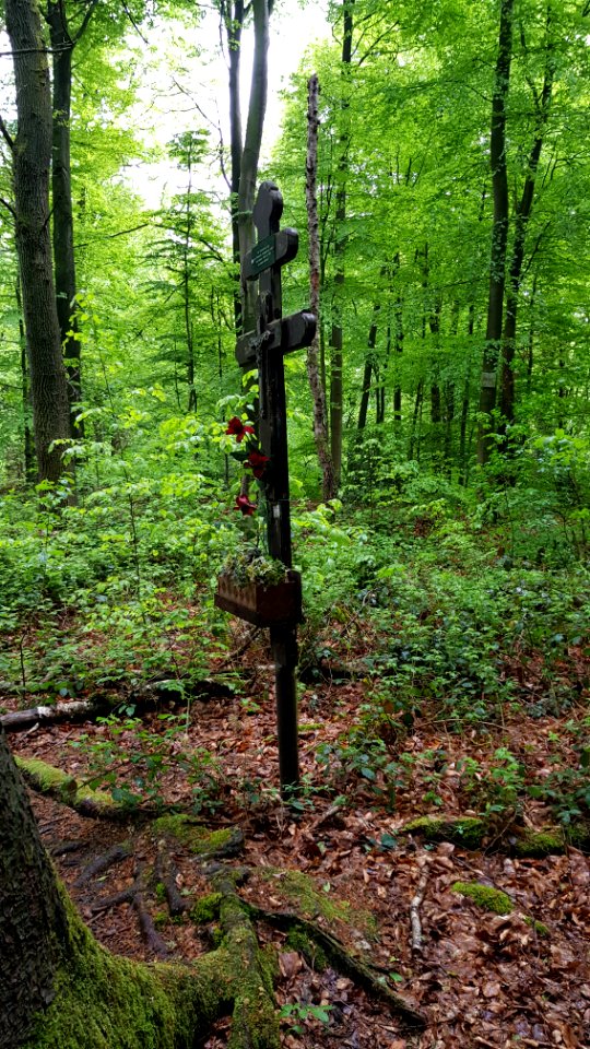 Vijlenerbos-wegkruis Russische Krijgsgevangenen (5)