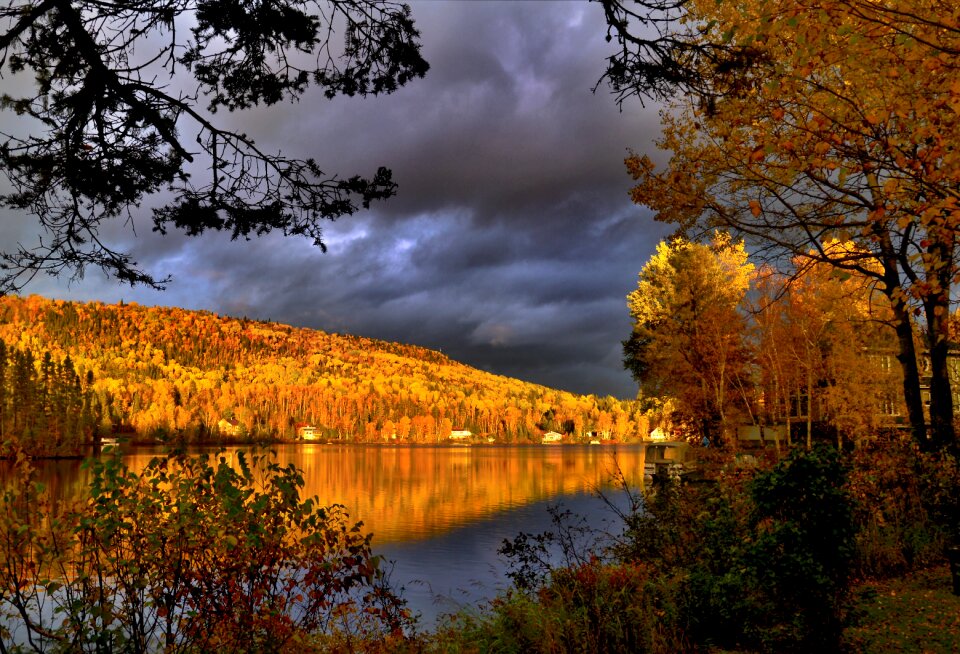 Trees lake reflections photo