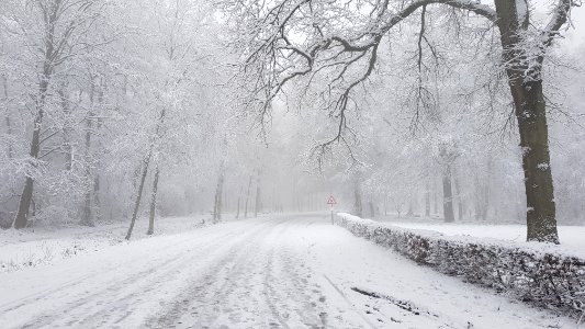 Vijlen-sneeuwlandschap Vijlenerbos (52)