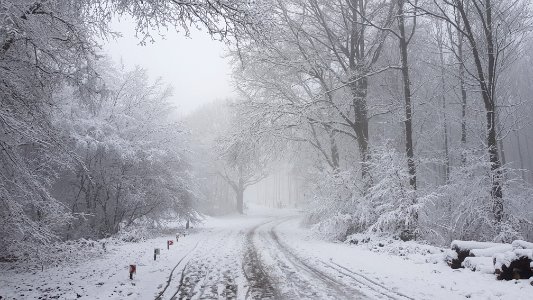 Vijlen-sneeuwlandschap Vijlenerbos (31)