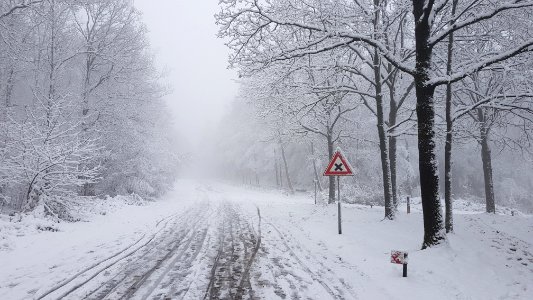 Vijlen-sneeuwlandschap Vijlenerbos (30)