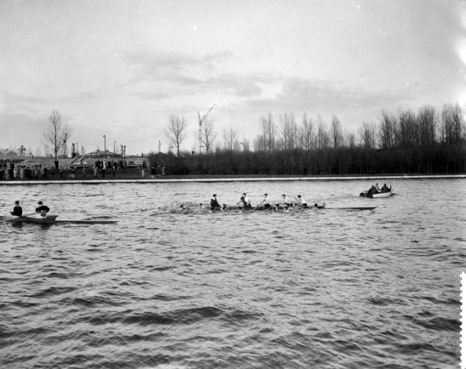 Vijfenzeventigste Varsity op het Amsterdam Rijnkanaal , winnaar Mereus, Bestanddeelnr 909-5126