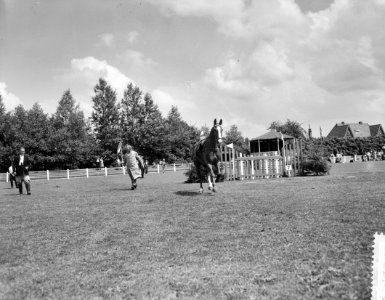 Vijftigste concours Hippique in Hoofddorp, Bestanddeelnr 910-5304