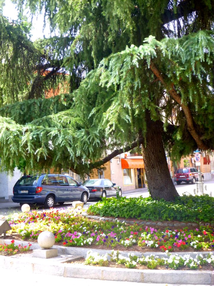 Villaviciosa de Odón - 38