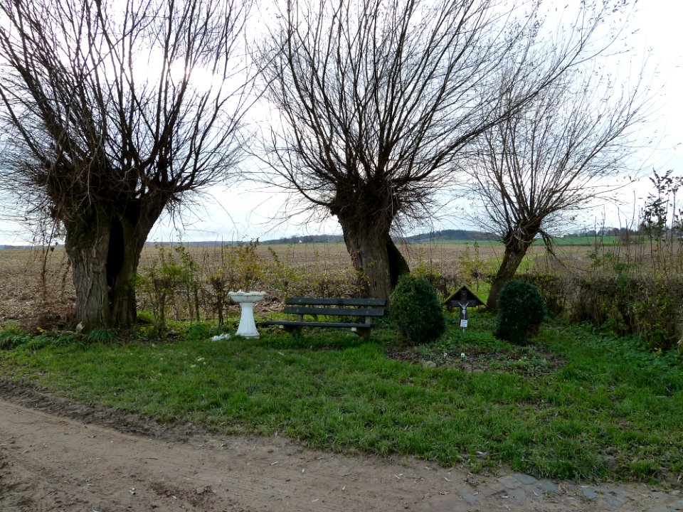 Vijlen-Wegkruis Oude Trichterweg